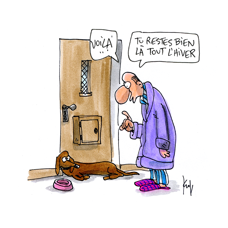 Le chien d’hiver