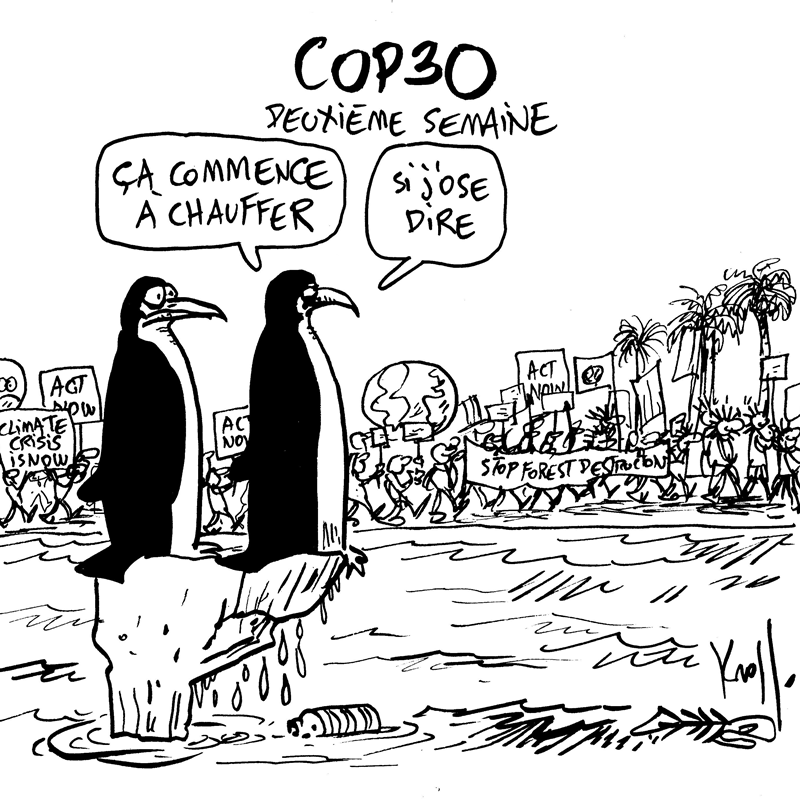 Dessin du 17/11/2025 - (Le Soir)