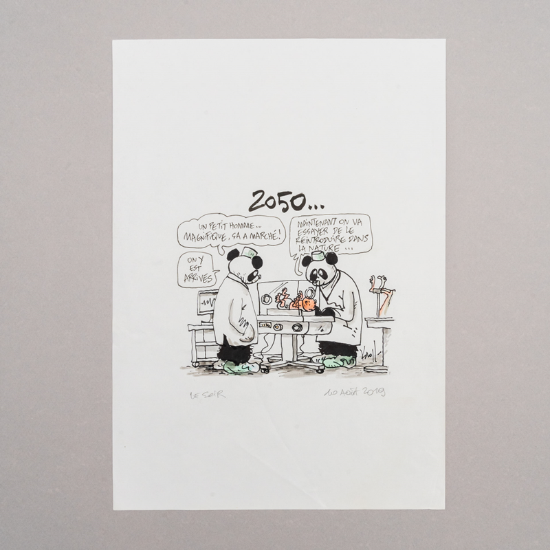 Les pandas et l'homme en 2025