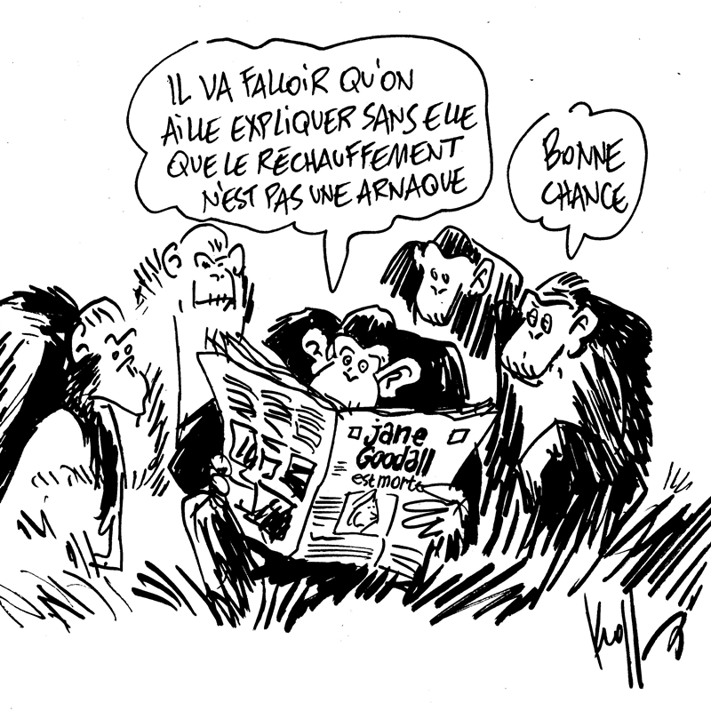 Dessin du 03/10/2025 - (Le Soir)