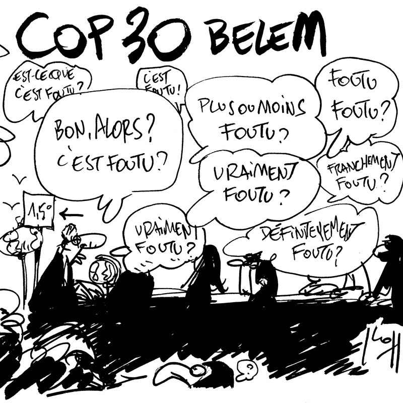 Dessin du 12/11/2025 - (Le Soir)