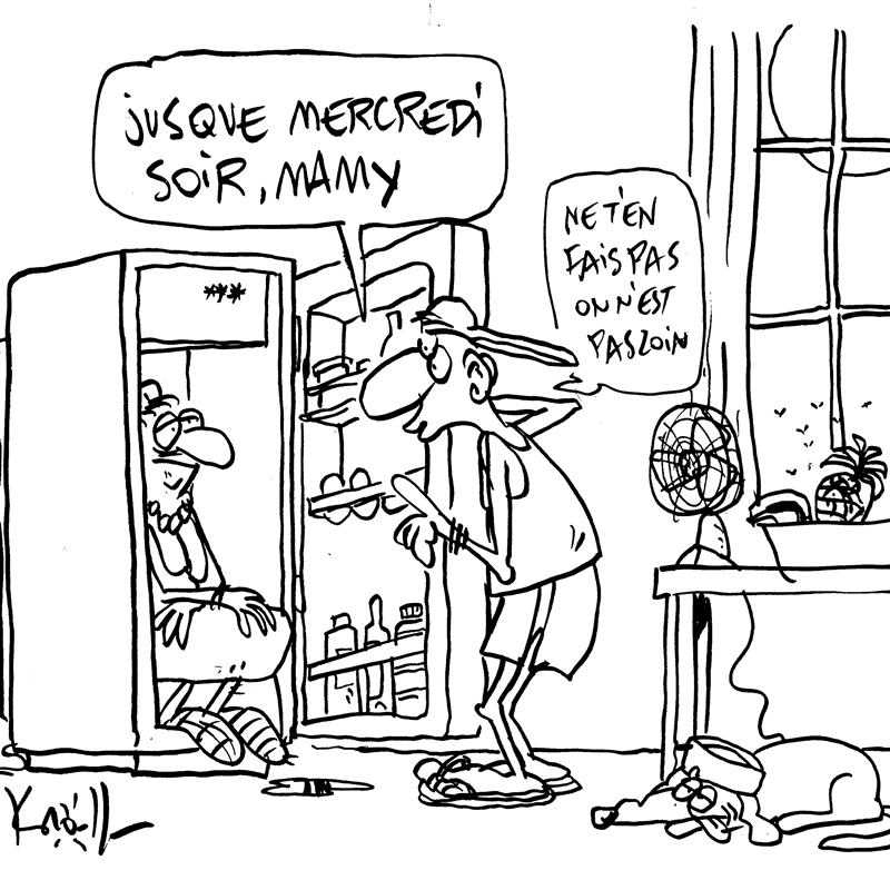 Dessin du 01/07/2025 - (Le Soir)